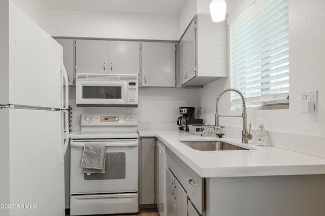 kitchen with sink, gray cabinetry, and white appliances