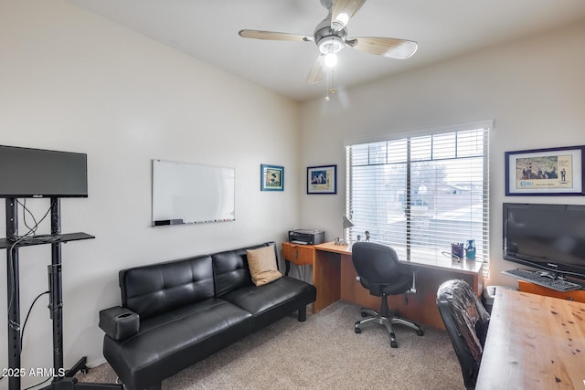 carpeted office featuring ceiling fan and a healthy amount of sunlight