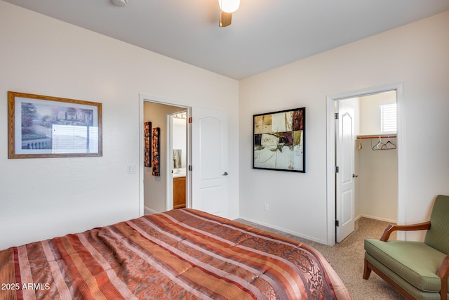 bedroom with carpet flooring, ceiling fan, a walk in closet, and a closet