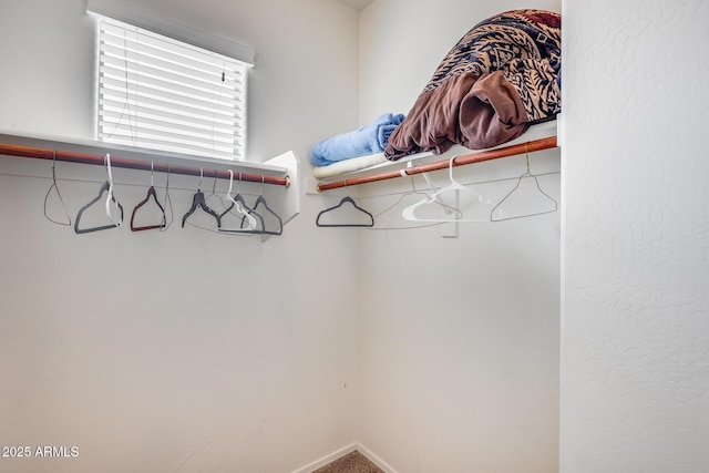 walk in closet with carpet floors