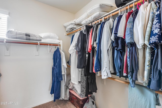 walk in closet featuring carpet floors