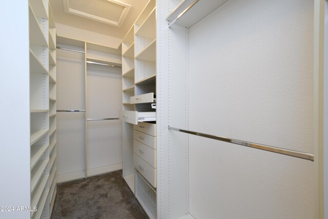 spacious closet with dark carpet