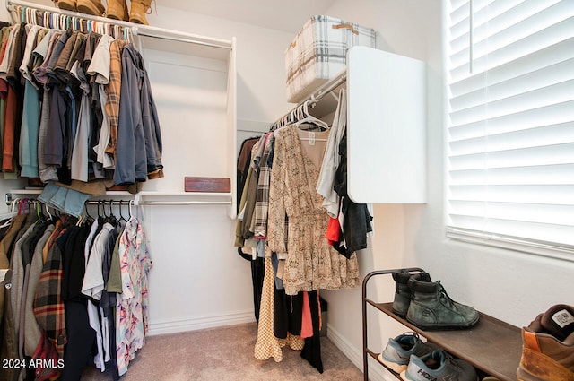 walk in closet featuring light colored carpet