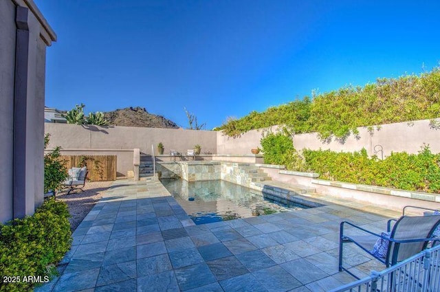 view of pool with a fenced backyard, a patio area, and a fenced in pool