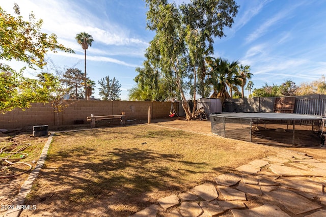 view of yard featuring a trampoline