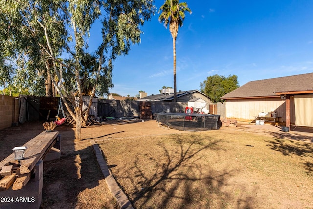 view of yard with a storage shed