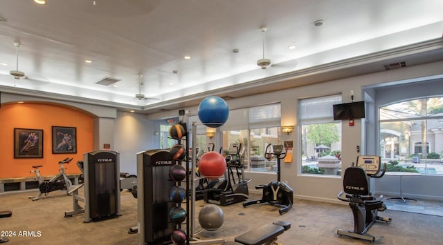 exercise room featuring light colored carpet and a raised ceiling