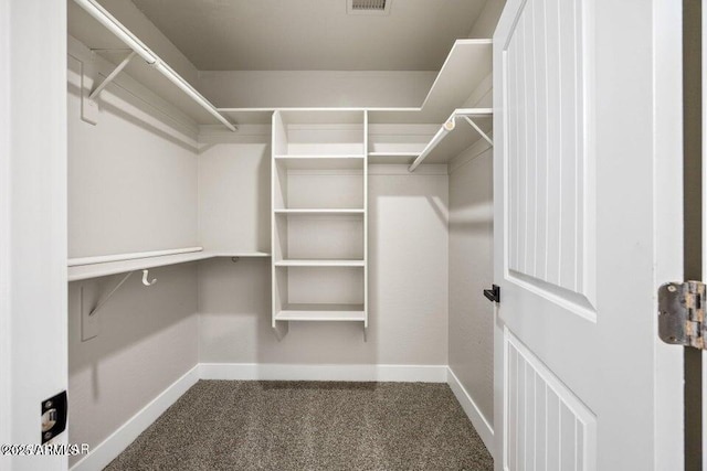 780 E Cobble Ln, Taylor, AZ 85939 - walk in closet with carpet floors