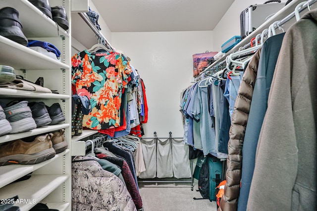 17404 N 99th Ave Unit 318, Sun City, AZ 85373 - spacious closet with carpet floors