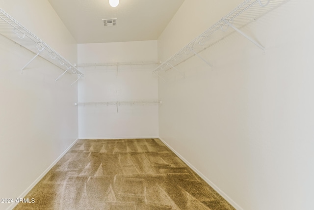 walk in closet featuring carpet floors