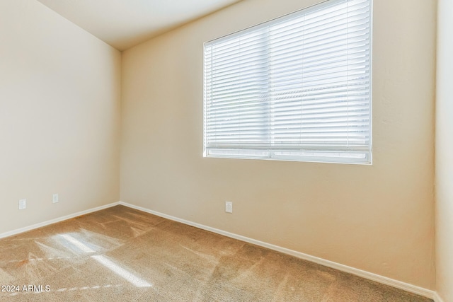 carpeted empty room with a wealth of natural light