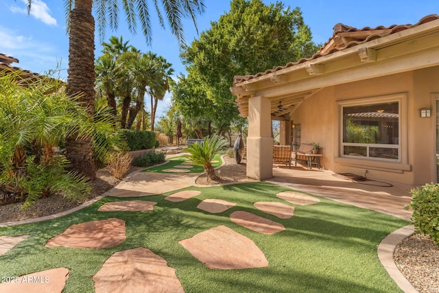 view of yard featuring a patio area