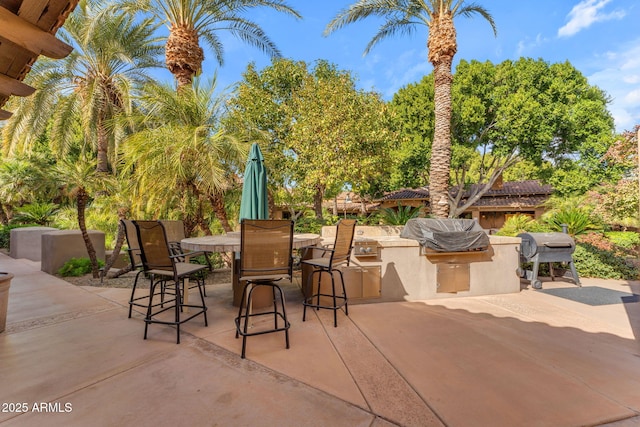 view of patio / terrace with area for grilling and a grill