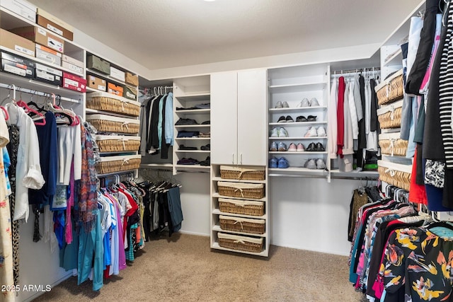 walk in closet featuring carpet flooring