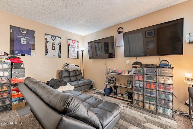 7764 N 19th Dr, Phoenix, AZ 85021 - living room with carpet flooring and a textured ceiling