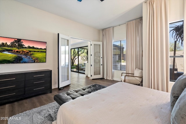 33667 N 71st Way, Scottsdale, AZ 85266 - bedroom featuring dark wood-type flooring, multiple windows, baseboards, and access to outside
