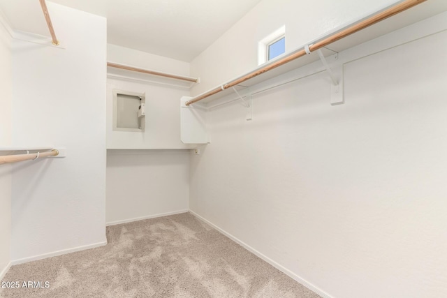 spacious closet featuring light colored carpet