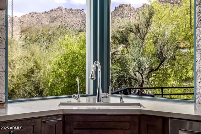 details with a mountain view, dark brown cabinetry, and a sink