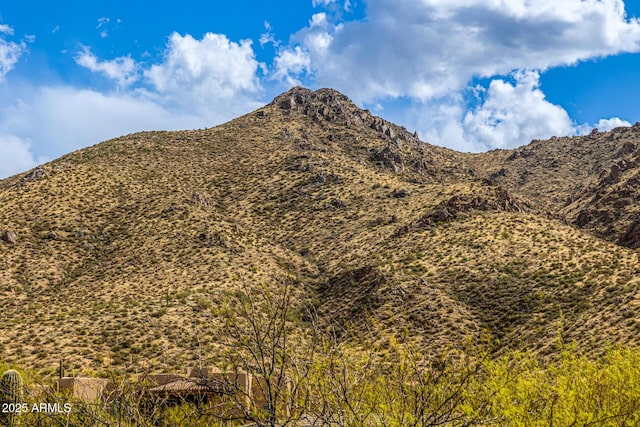 view of mountain feature