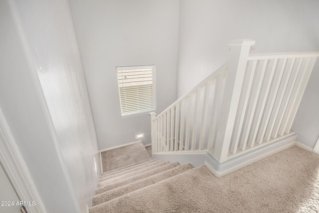 stairway with carpet