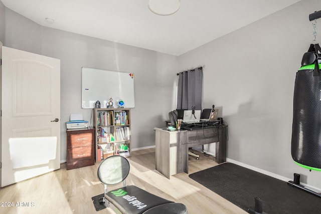 interior space featuring light hardwood / wood-style floors