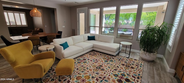 living room with wood-type flooring and plenty of natural light