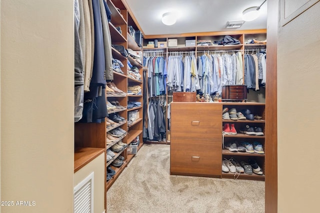 10434 N 44th St N, Phoenix, AZ 85028 - walk in closet with carpet floors