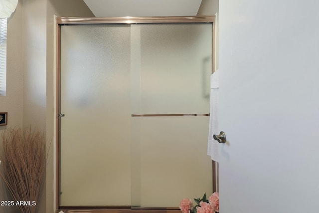 bathroom featuring a shower with shower door