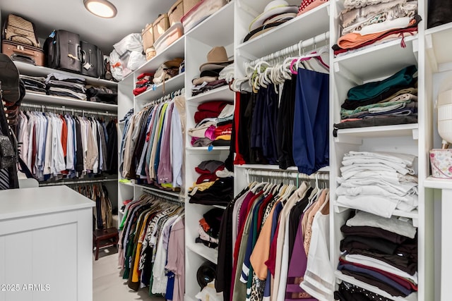 view of walk in closet