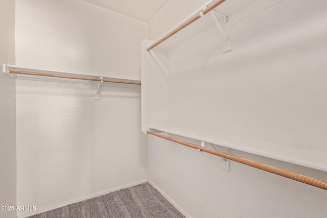 spacious closet featuring carpet floors