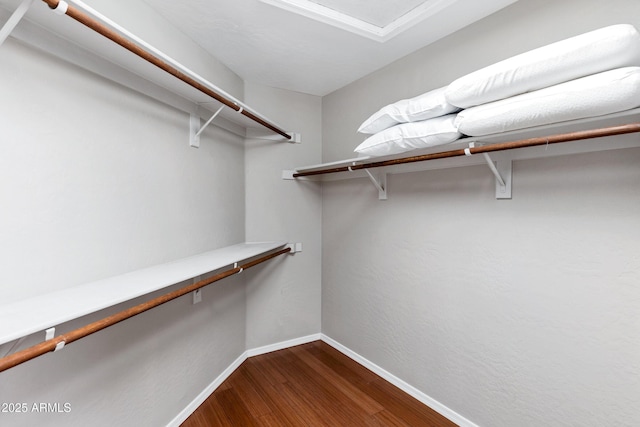 2260 E Binner Dr, Chandler, AZ 85225 - spacious closet with dark wood finished floors