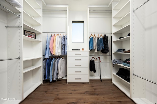 walk in closet featuring dark wood-type flooring