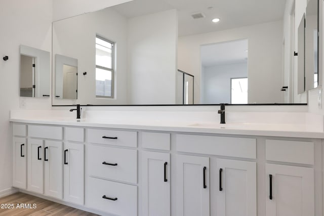 28266 N 134th Dr, Peoria, AZ 85383 - full bathroom with a sink, visible vents, wood finished floors, and double vanity