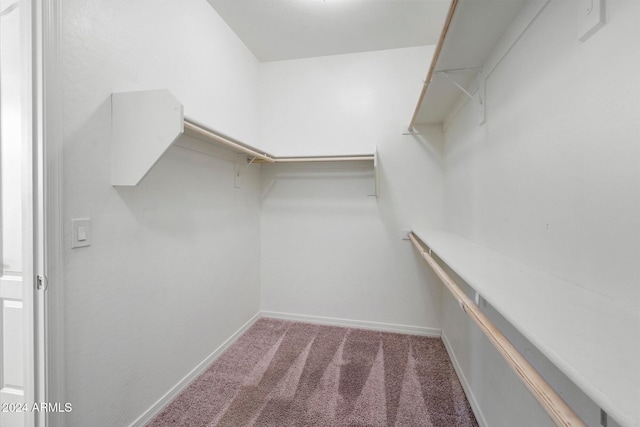 walk in closet featuring carpet floors