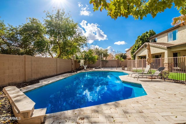 view of swimming pool with a patio area