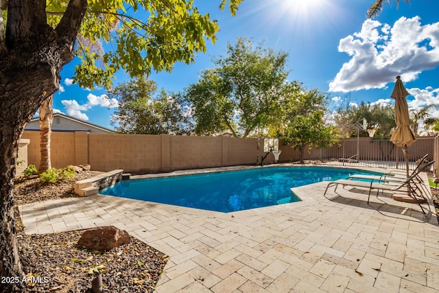 view of pool featuring a patio area