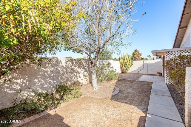 view of yard with a patio area