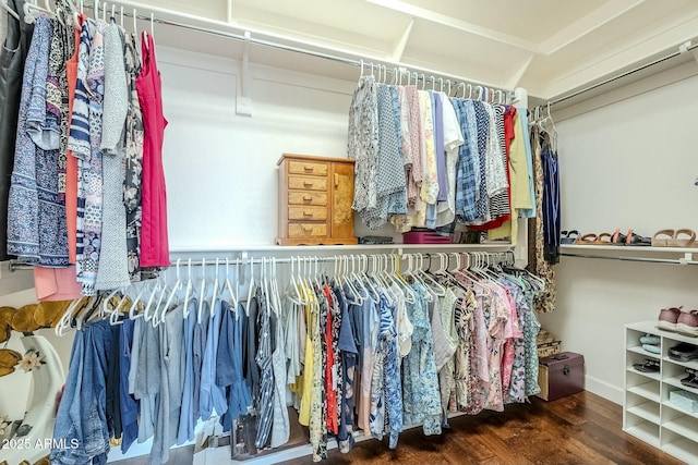 walk in closet featuring dark hardwood / wood-style floors