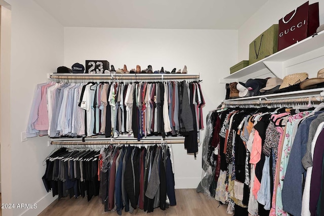 walk in closet featuring wood-type flooring