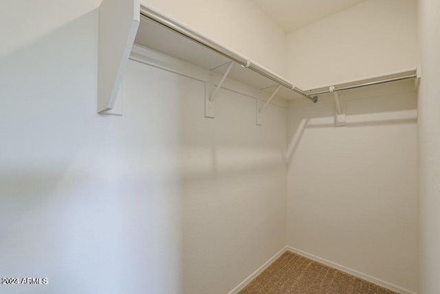 walk in closet featuring light carpet