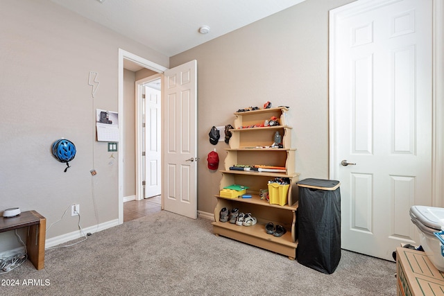 miscellaneous room featuring light carpet