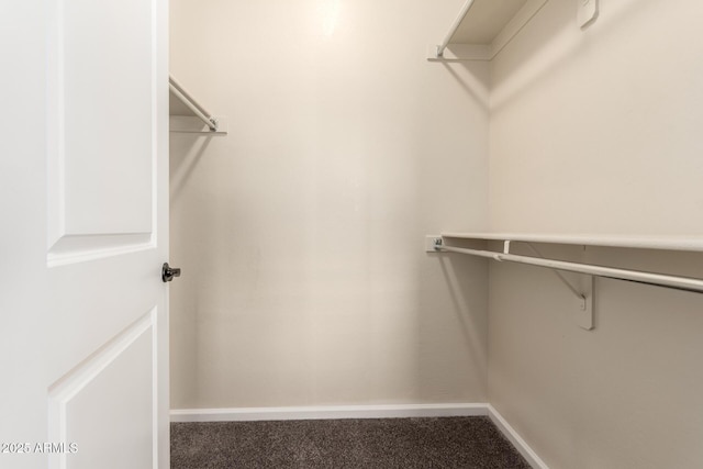 walk in closet featuring carpet flooring