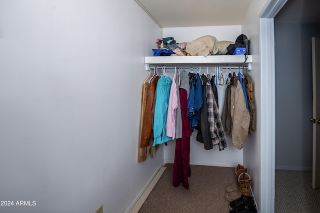spacious closet with carpet flooring