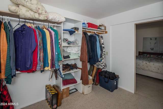 walk in closet with carpet flooring