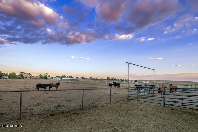 yard at dusk featuring a rural view