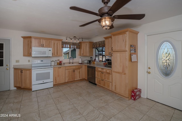 kitchen featuring sink, white appliances, light brown cabinetry, and a wealth of natural light