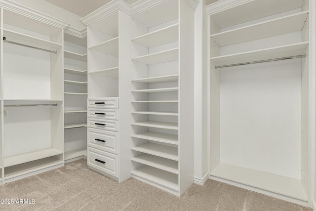 13204 W Palo Verde Dr, Litchfield Park, AZ 85340 - walk in closet with light carpet