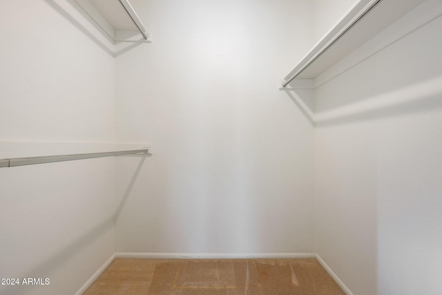 walk in closet featuring carpet floors