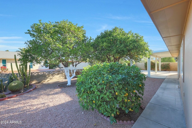 view of yard featuring a patio area