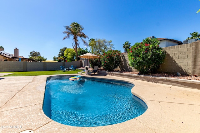 4316 E Janice Way, Phoenix, AZ 85032 - view of pool featuring a fenced backyard and a patio